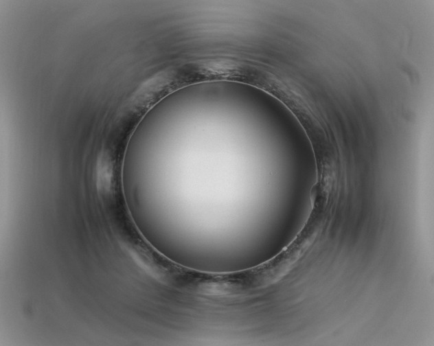 X0000113540408200909181202
