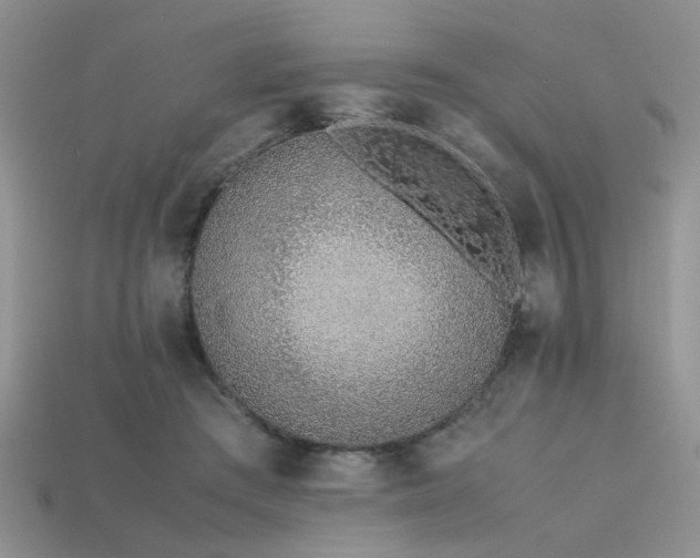 X0000113540409200909181202