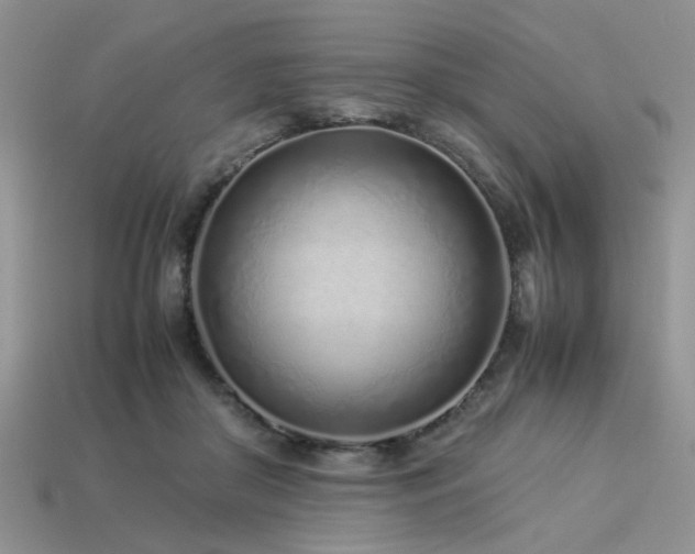 X0000113540410200909181202