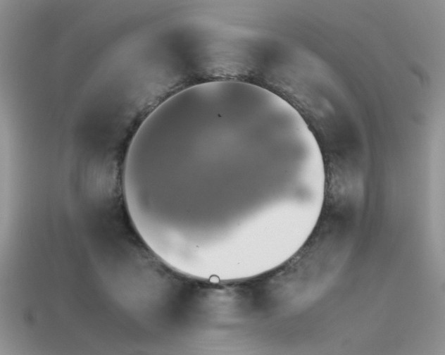 X0000113540411200909181202