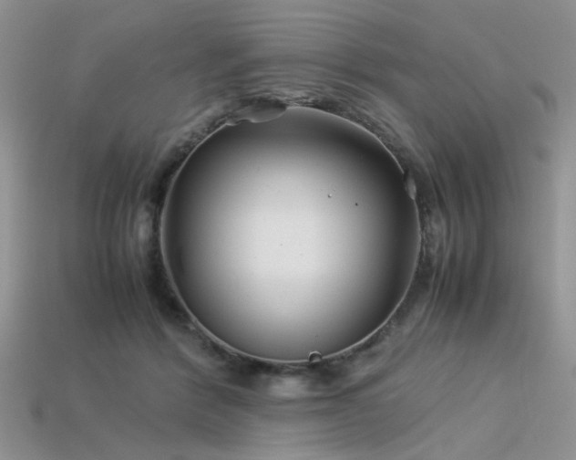 X0000113540412200909181202