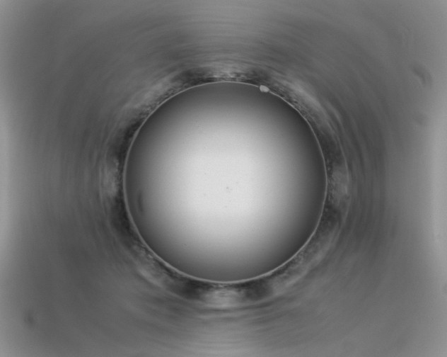X0000113540413200909181202