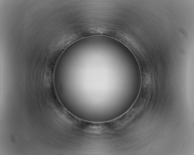 X0000113540414200909181202