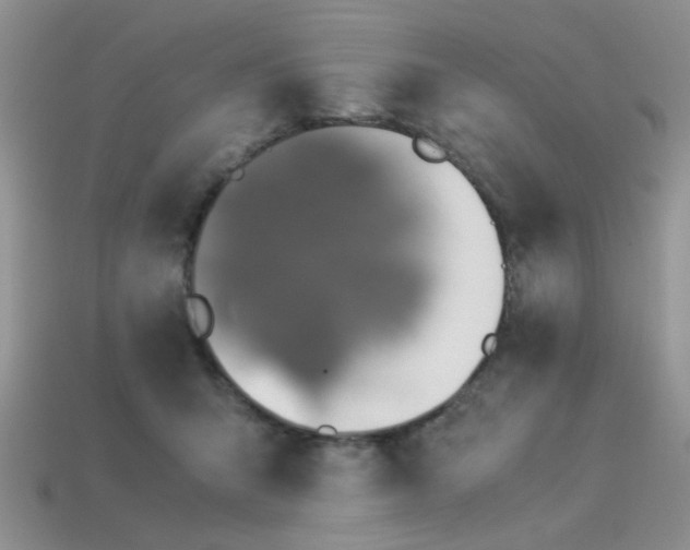 X0000113540415200909181202