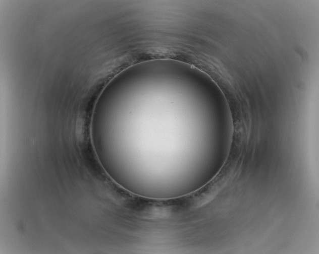 X0000113540416200909181202