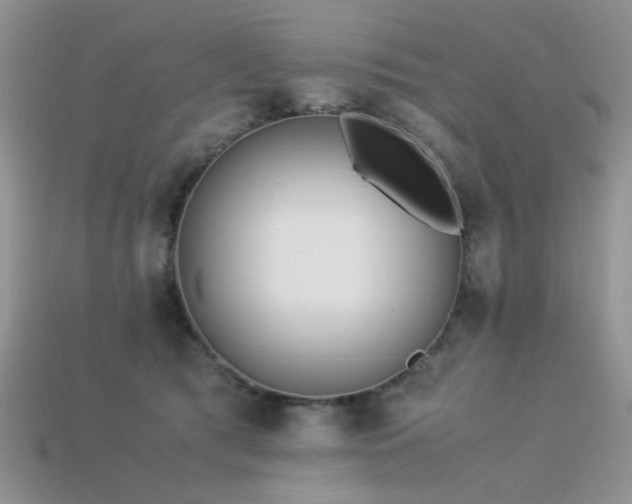X0000113540417200909181202