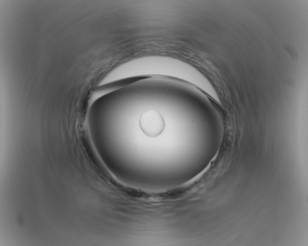 X0000113540419200909181202