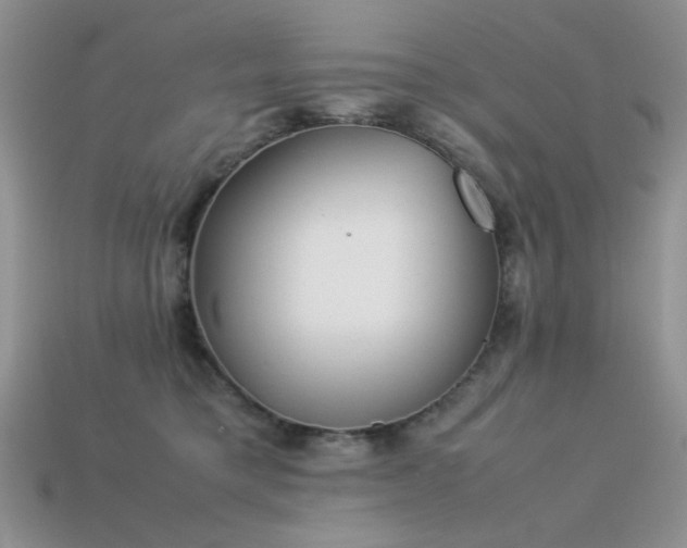 X0000113540421200909181202