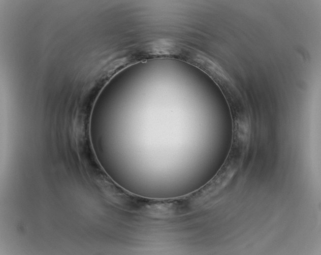 X0000113540422200909181202