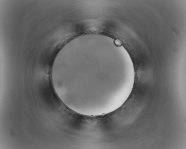 X0000113540423200909181202