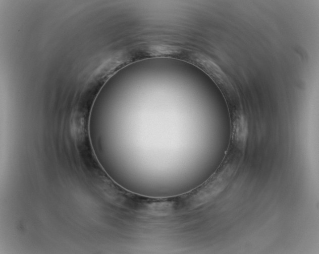 X0000113540426200909181201