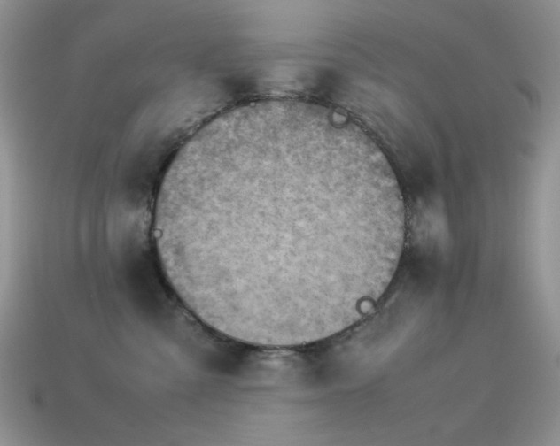 X0000113540427200909181201