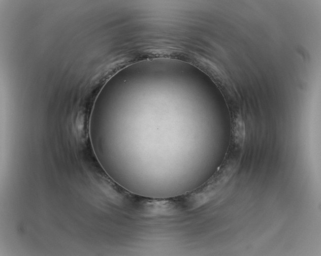 X0000113540428200909181201