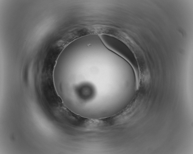 X0000113540429200909181201