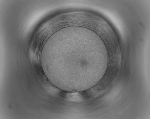 X0000113540431200909181201