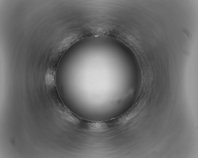 X0000113540432200909181201