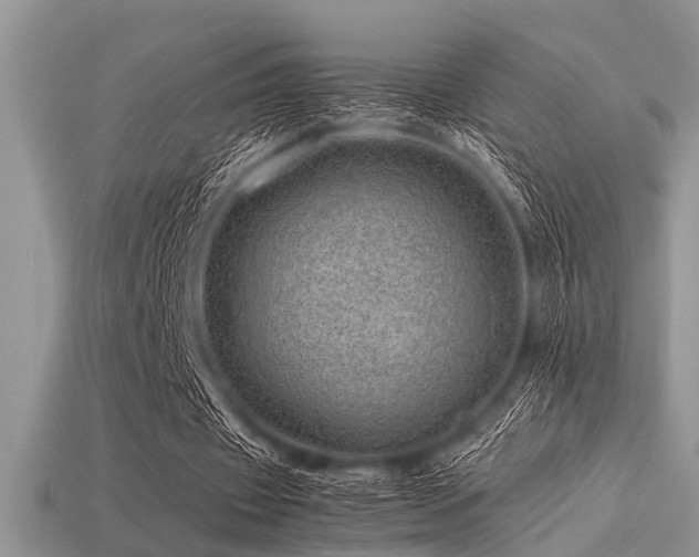X0000113540433200909181201