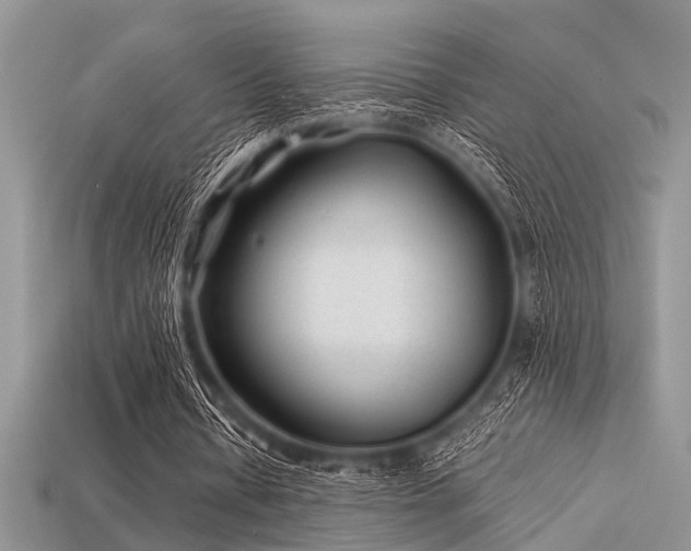 X0000113540434200909181201
