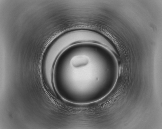 X0000113540436200909181201