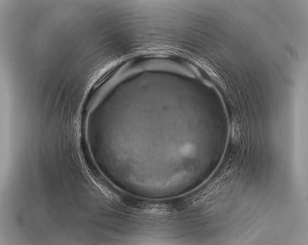 X0000113540438200909181201