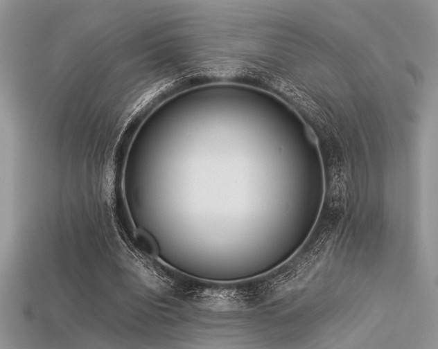 X0000113540440200909181201