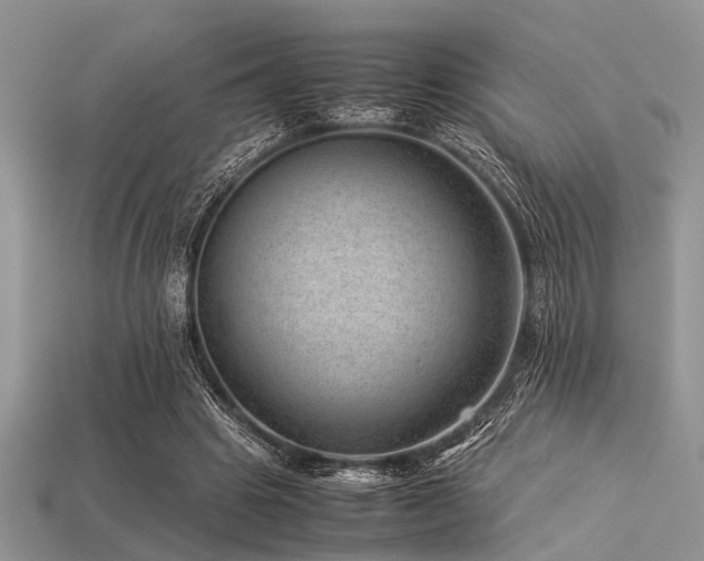 X0000113540441200909181201