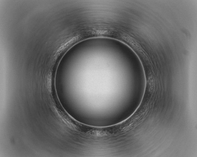 X0000113540442200909181201