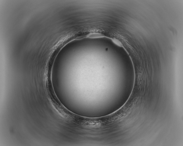 X0000113540443200909181201