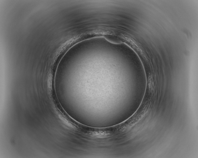 X0000113540445200909181201
