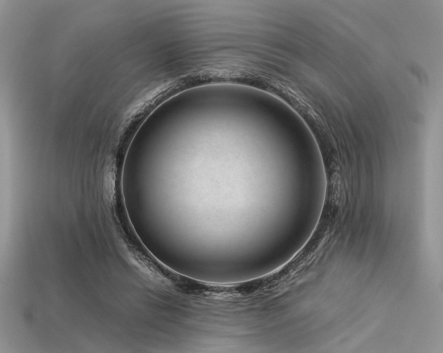 X0000113540446200909181201