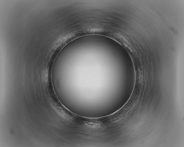 X0000113540447200909181201