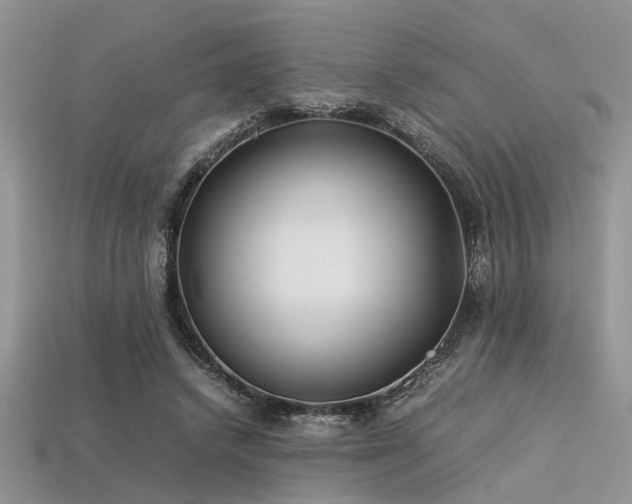 X0000113540448200909181201