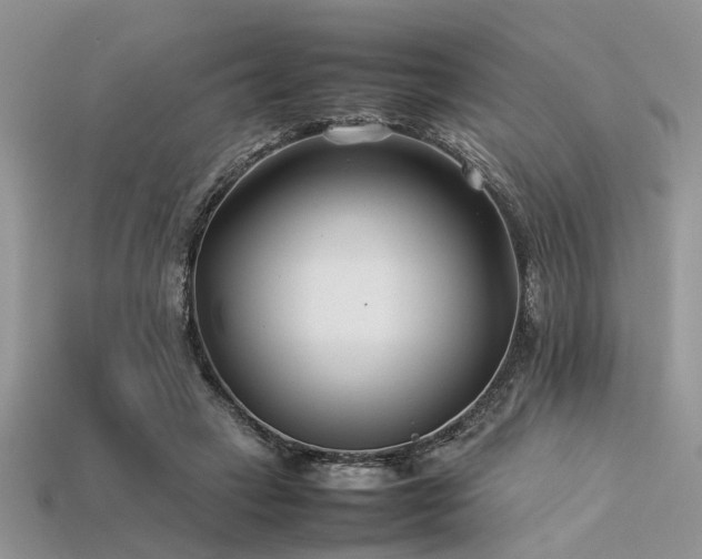 X0000113540449200909181201