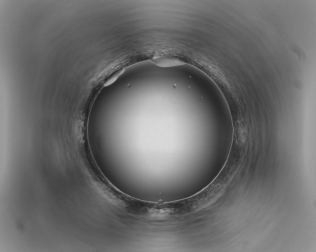 X0000113540450200909181201