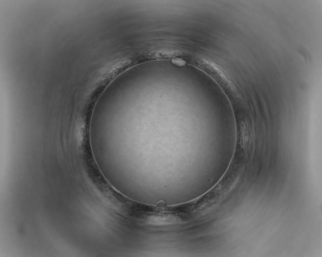 X0000113540451200909181201
