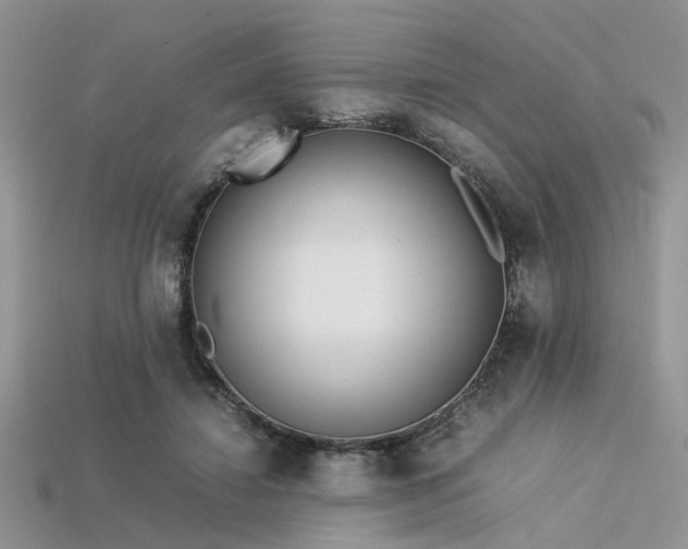 X0000113540452200909181201
