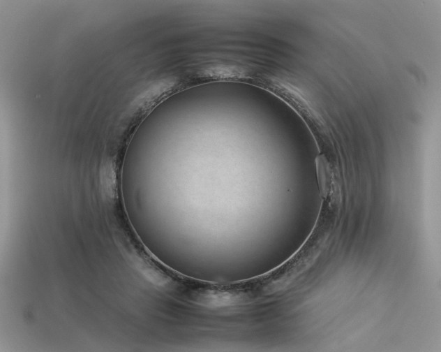 X0000113540453200909181201