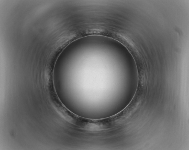 X0000113540455200909181201