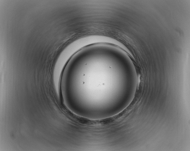 X0000113540456200909181201