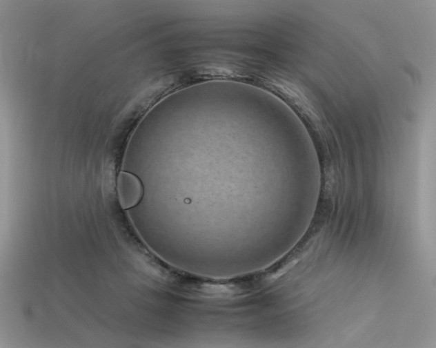 X0000113540457200909181201