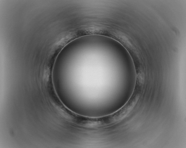 X0000113540458200909181201
