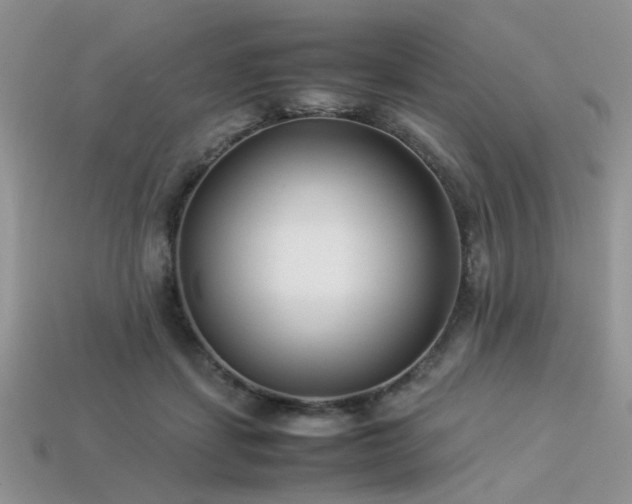 X0000113540459200909181201