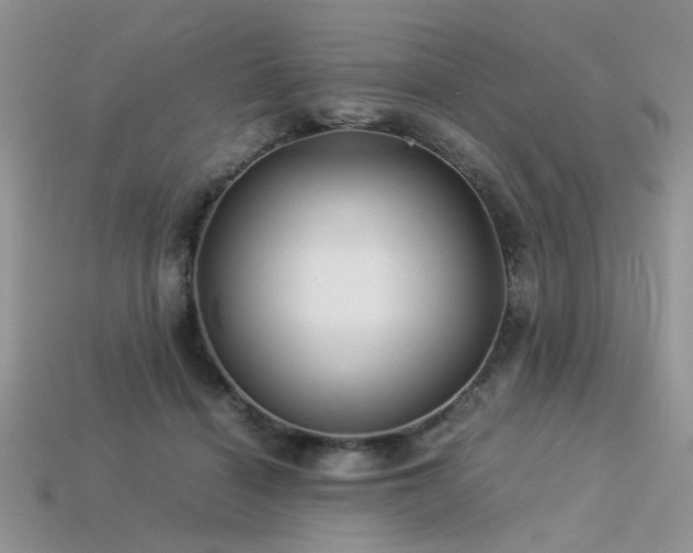 X0000113540460200909181201