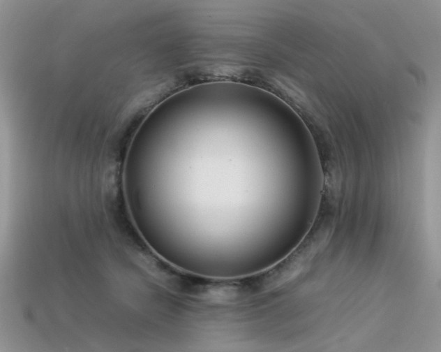 X0000113540462200909181201