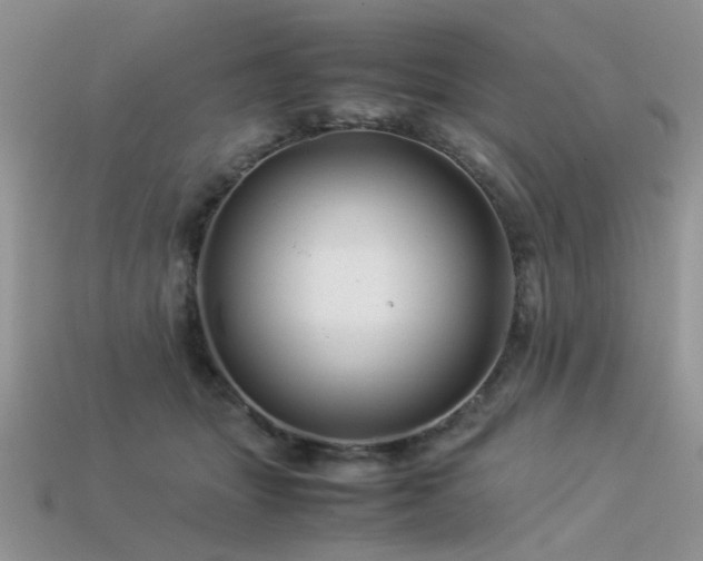 X0000113540463200909181201