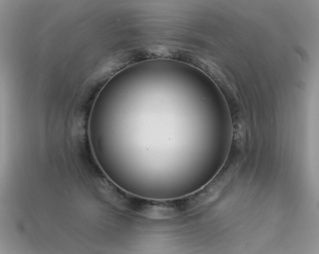 X0000113540466200909181201