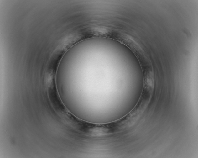 X0000113540468200909181201