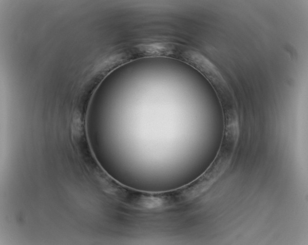 X0000113540469200909181201