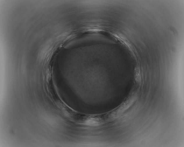 X0000113540471200909181201