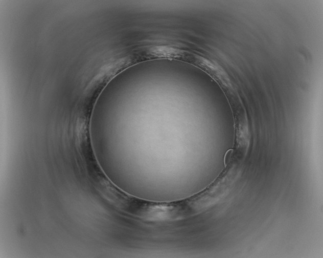 X0000113540473200909181201